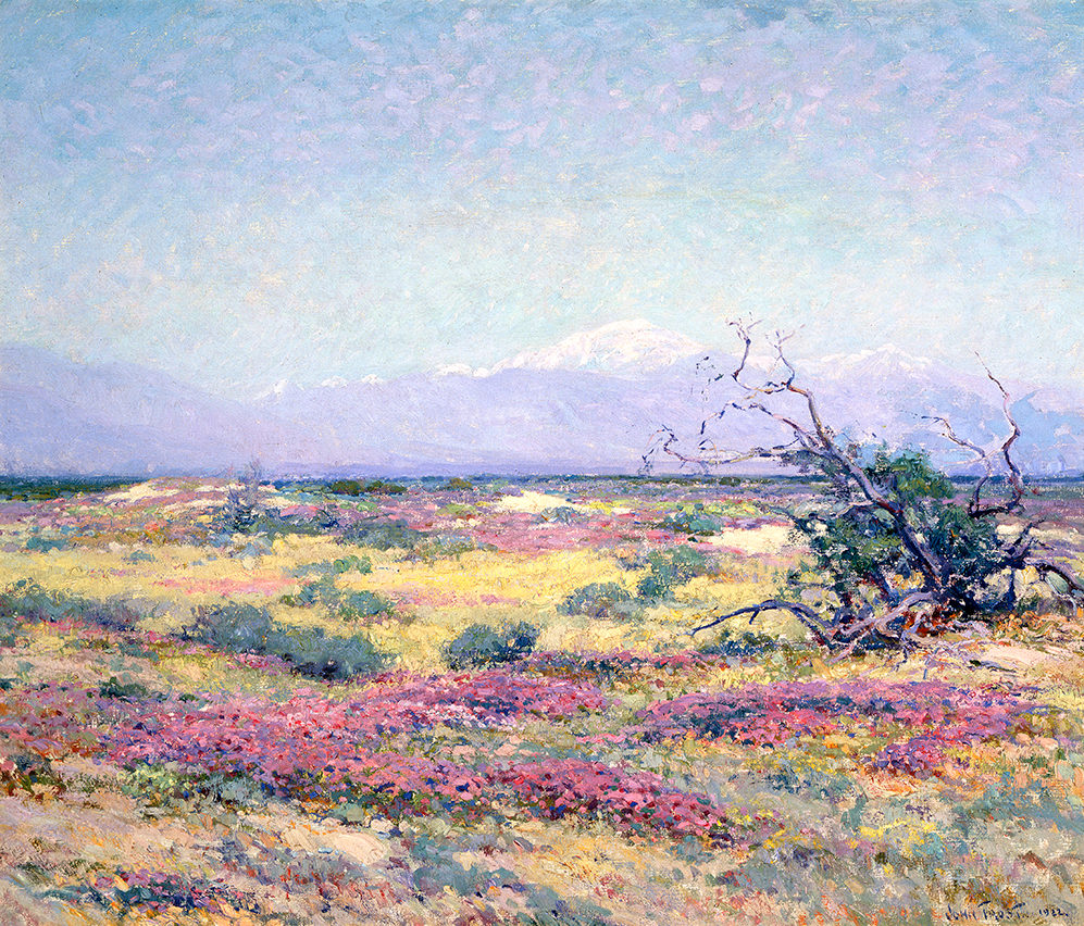 The Flowering Desert
