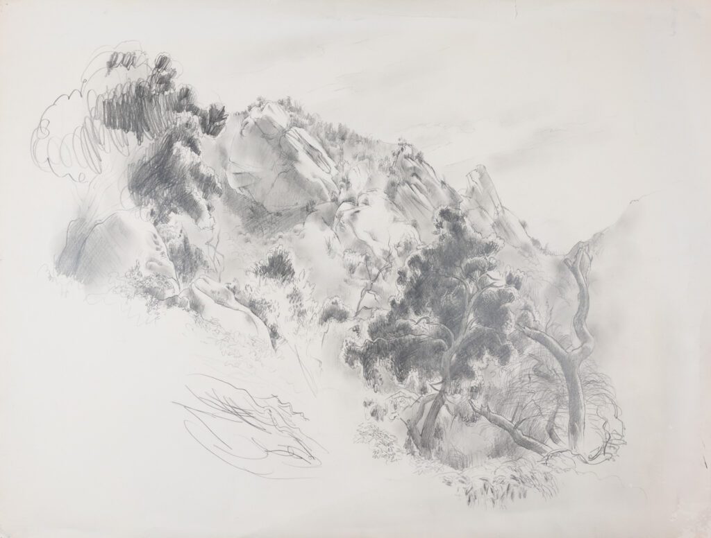 pencil drawing of a rocky hillside with trees below