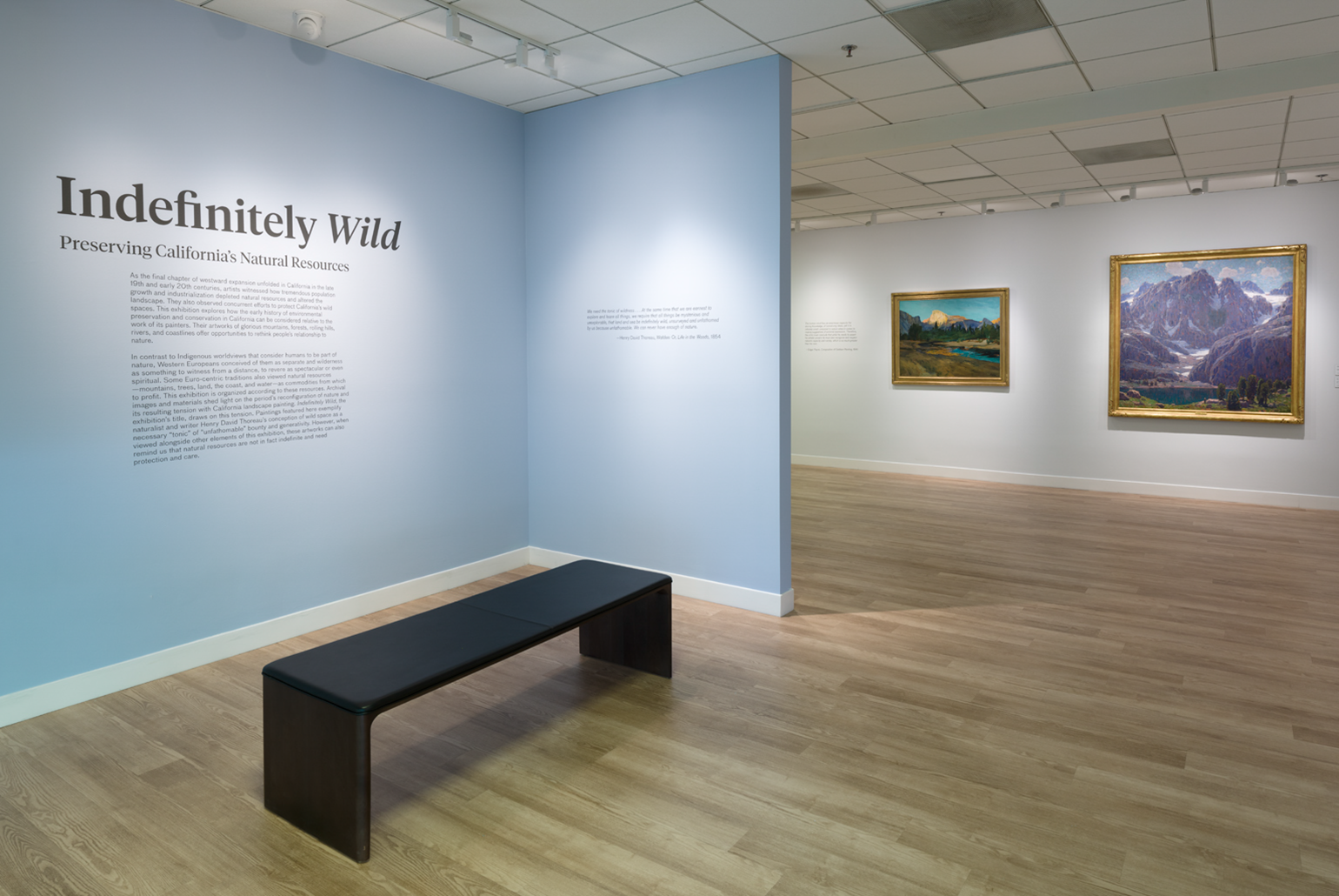 Indefinitely Wild (installation view), 2023, UCI Jack and Shanaz Langson Institute and Museum of California Art, photo by Jeff McLane