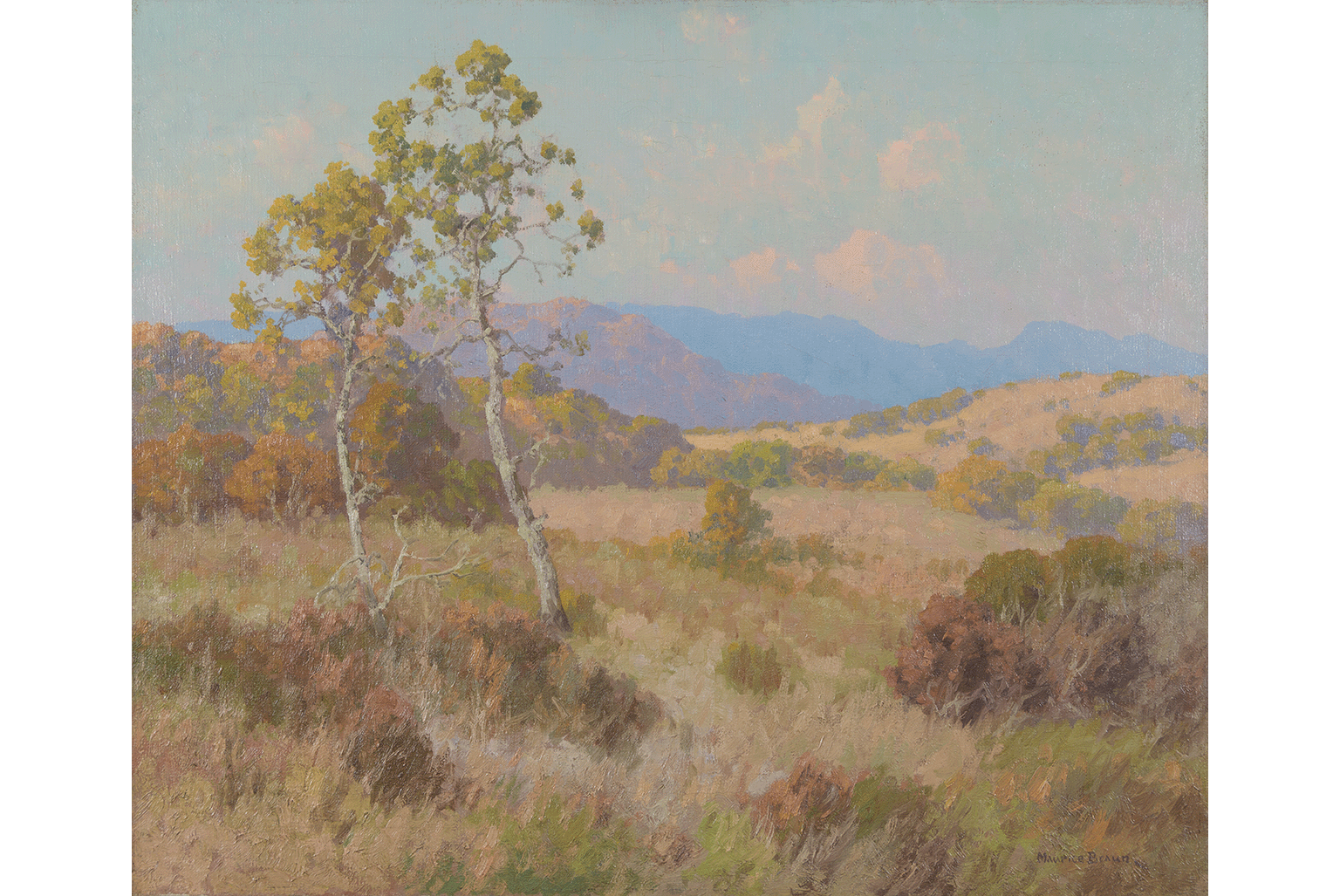 Maurice Braun, Summer's Sycamores, after 1909, Oil on canvas, 25 x 30 in. UCI Jack and Shanaz Langson Institute and Museum of California Art, Gift of The Irvine Museum, photo courtesy of the Balboa Art Conservation Center