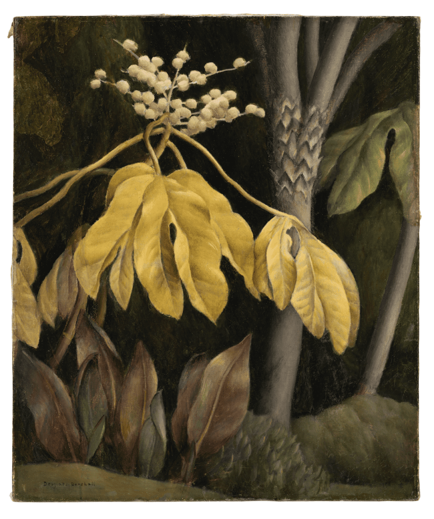 Douglass Parshall, Tropical Plants, after 1917, Oil on canvas, 24 x 20 in. UC Irvine Jack and Shanaz Langson Institute and Museum of California Art, Gift from the Rowe Collection