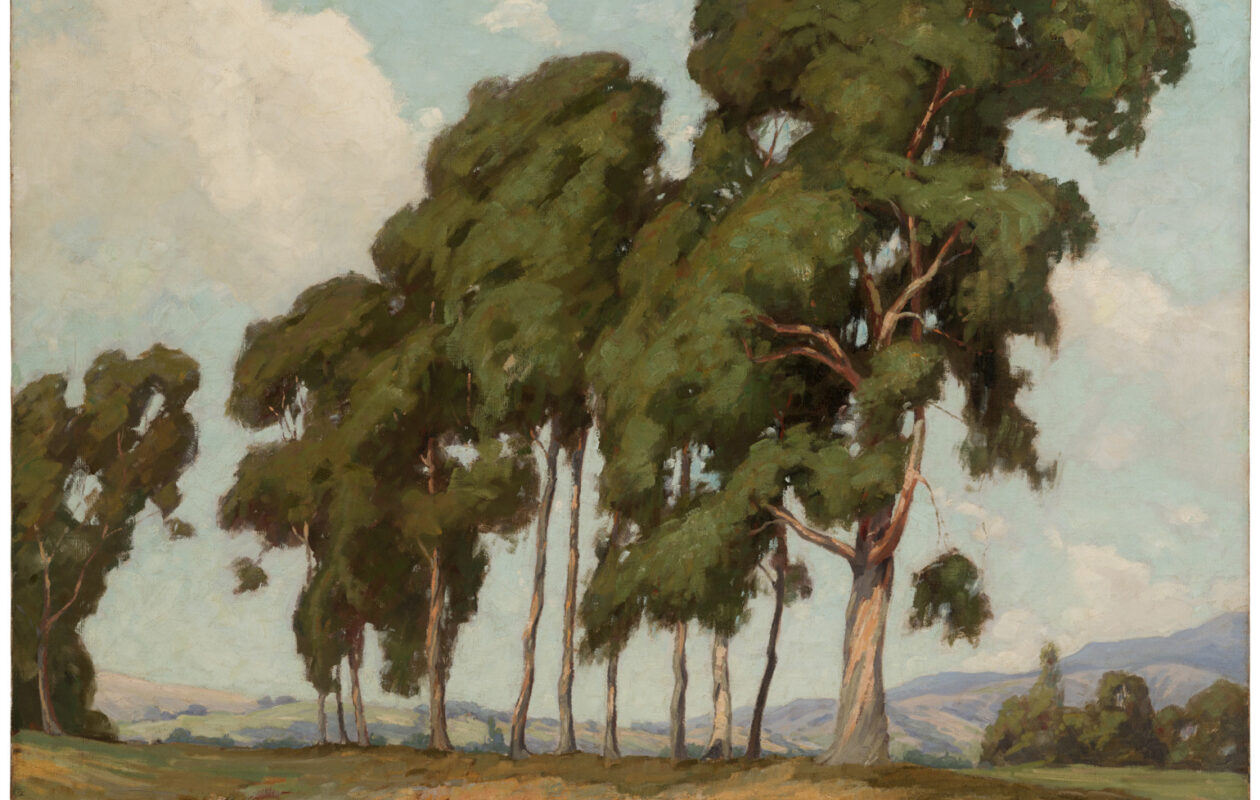 Aaron Kilpatrick, Eucalyptus, 1911, Oil on canvas, 36 x 48 1/8 in. UC Irvine Jack and Shanaz Langson Institute and Museum of California Art. Gift of The Irvine Museum