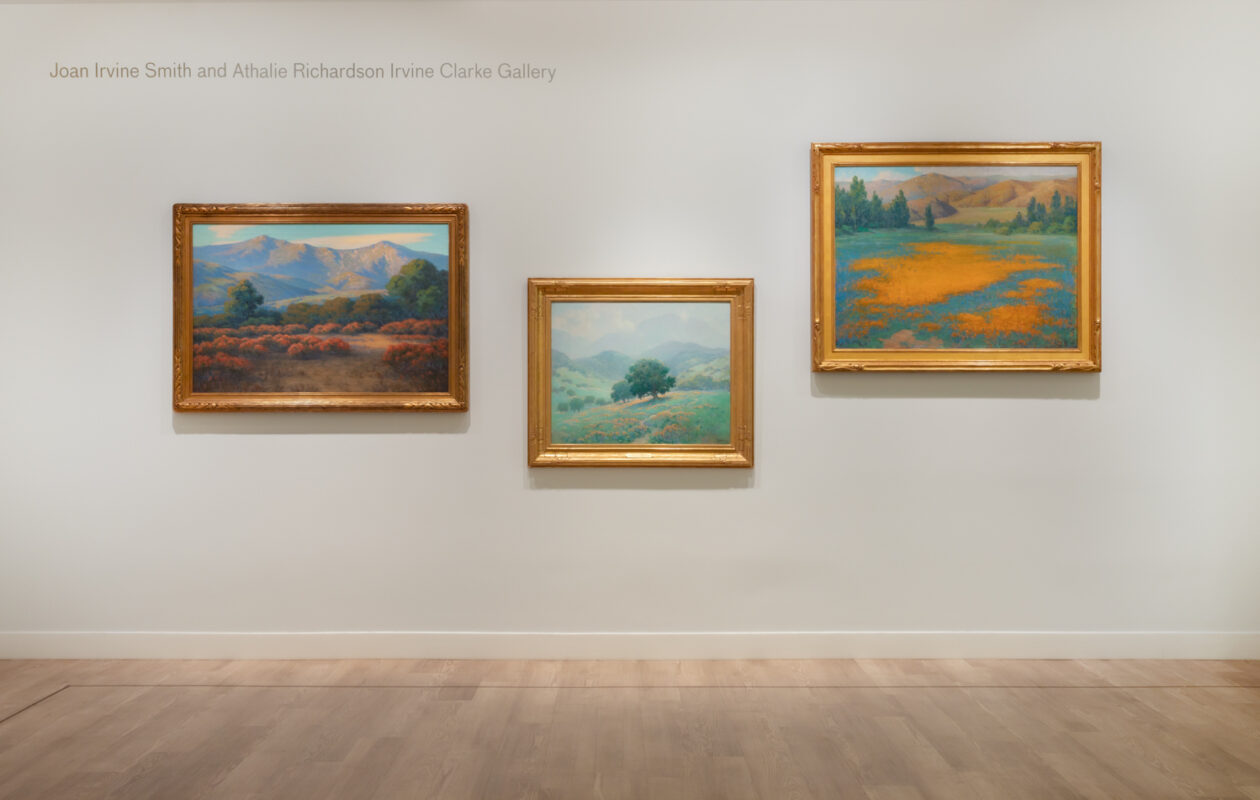 Habitat: Making the California Environment (installation view), 2025, UC Irvine Langson Orange County Museum of Art, photo by Eric Stoner