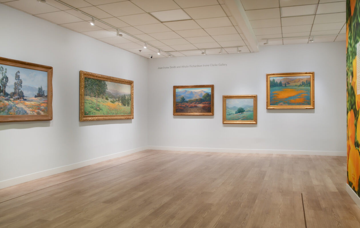 Habitat: Making the California Environment (installation view), 2025, UC Irvine Langson Orange County Museum of Art, photo by Eric Stoner
